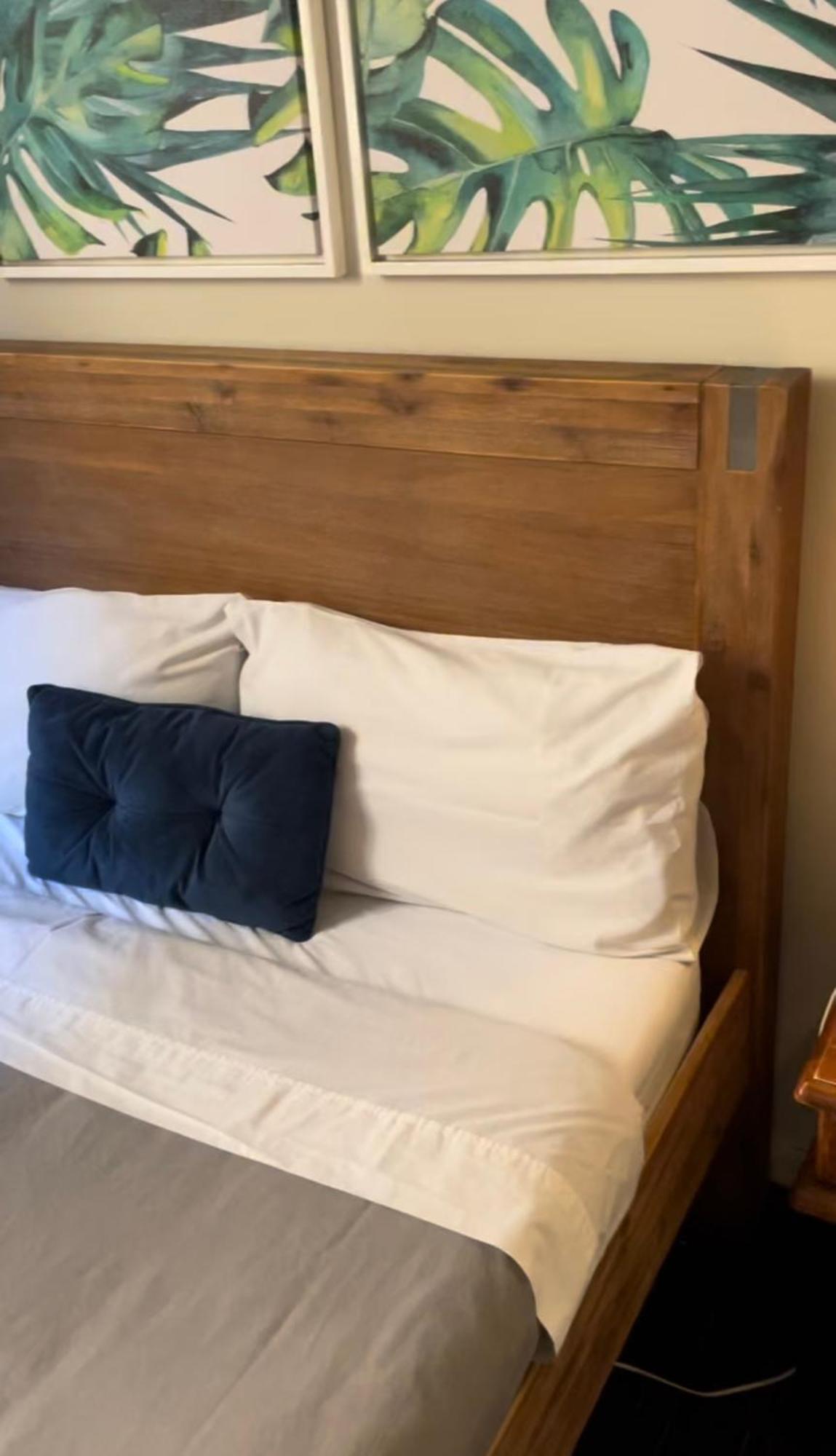 City Backpackers Hq بريزبين المظهر الخارجي الصورة